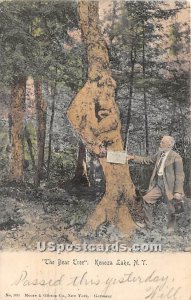 The Bear Tree - Kenoza Lake, New York NY Postcard