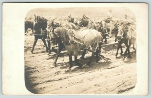 Farm Real Photo Postcard~Close Up 10 Horse Drawn Plow~2 Teams~c1905 RPPC 