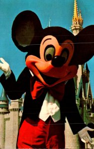 Walt Disney World Fantasyland Mickey Mouse 1973