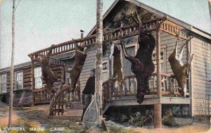 Deer Hunting Kill Typical Maine Camp 1910c postcard