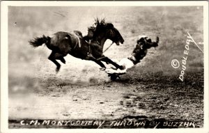 RPPC CM Montgomery thrown by Buzzer Real Photo Postcard Doubleday cowboy horse