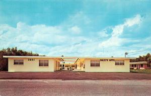 TAMPA, FL Florida    SALCI'S APARTMENTS & MOTEL  Roadside   Chrome  Postcard