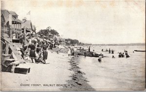 View of Bathers and Cottages on Walnut Beach CT Vintage Postcard M75