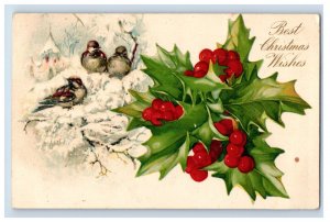Vintage Birds Snow Holly Berries Christmas Postcard F108E