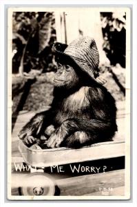 18380  Monkey in Wagon, What-Me Worry  RPC