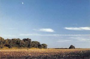 Bare Field Under The Harvest Moon, By Larry Kanfer  