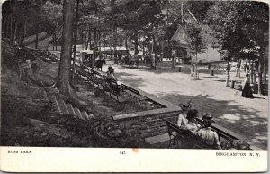 Ross Park Binghamton NY New York Horse Carriage Antique Postcard UNP UDB Unused 