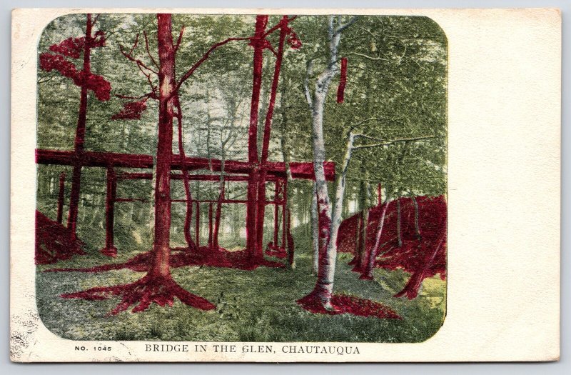 1906 Bridge In The Glen Chautauqua New York NY Trees Woods Postcard