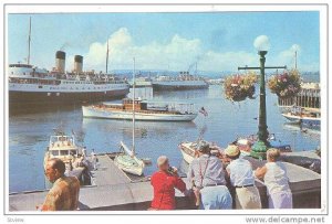 Scenic view of Victoria's Inner Harbour, with steamers arriving, Victoria, B....