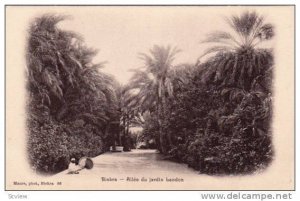 Allee Du Jardin Landon, Biskra, Algeria, Africa, 1900-1910s