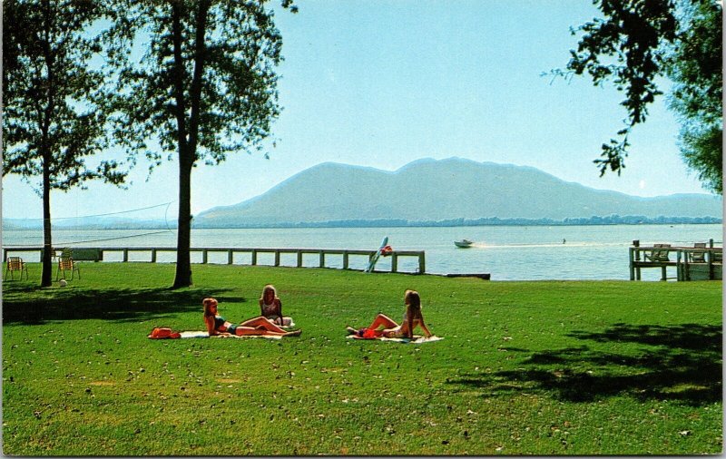 Skylark Motel Seaplane Base Mt Konocti Clear Lake California CA Postcard VTG UNP 