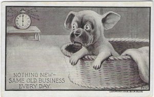 1910 Nothing New Funny Comical Dog Artist Signed Postcard