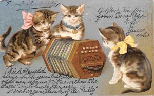 Kittens Cats Concertina Happy New Year Greetings 1905 postcard