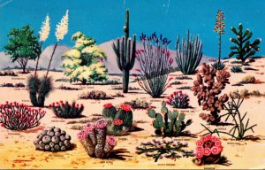 Cactus and Desert Flora Of The Great Southwest