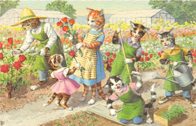 F60/ Alfred Mainzer Dressed Cats Postcard c1940s Flower Garden 1