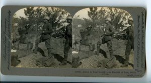 254697 SOUTH AFRICA Boer War Pretoria Drunk monkey 1900 STEREO