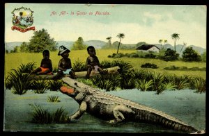 All-in-Gator in Florida. Florida Artistic Series. 1911 Hilliard, FL postmark