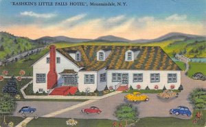 Rashkin's Little Falls Hotel Mountaindale, New York NY  