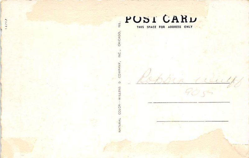 Stone Camp Cafe Modern cabins for tourists London KY