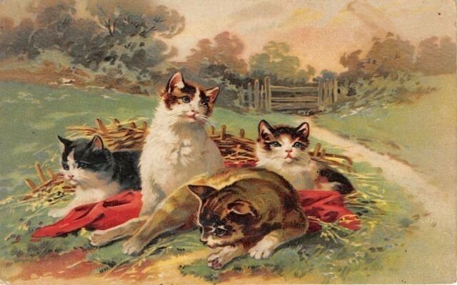 F14/ Cat Animal Postcard c1910 Beautiful Cats Laying in Field 6