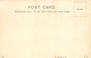A930 South Africa Boy Native Ethnic Typical ox Waggon vintage postcard