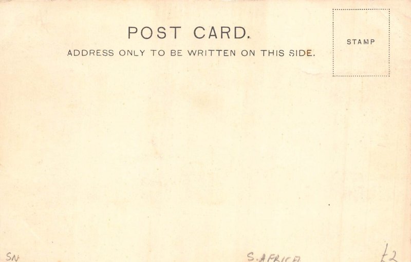A930 South Africa Boy Native Ethnic Typical ox Waggon vintage postcard
