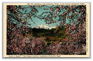 Vintage 1940's Postcard Panoramic View Mt. Cashmere Wenatchee Valley Washington