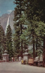 Vintage Postcard Yosemite Falls From Sentinel Bridge National Park California CA