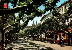 CONTINENTAL SIZE POSTCARD STREET SCENE PROMENADE DU ESPERON BURGOS SPAIN