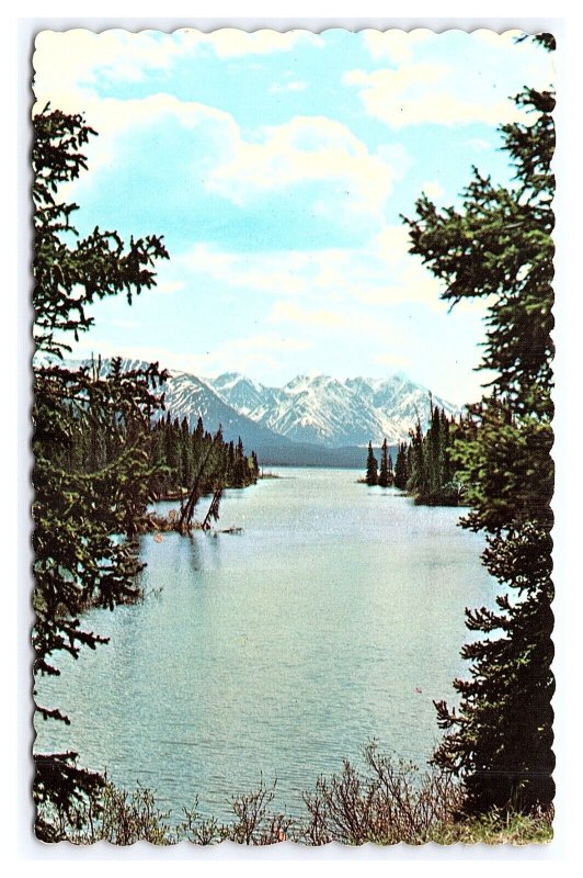 Bates Lake Yukon Territory Canada Postcard