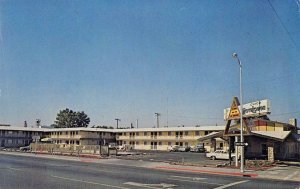 CHICO MOTELODGE Butte County, California Roadside c1960s Chrome Vintage Postcard