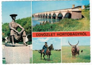 Postcard Hungary 1970 Hortobagy Horses Traditional Cowboys Bridge Cattle Cow