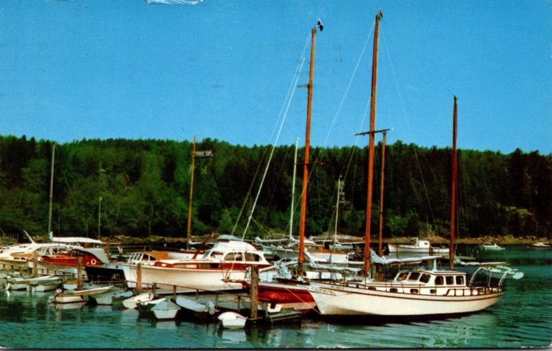 Maine Acadia National Park Mt Desert Island Northeast Harbor Marina 1972