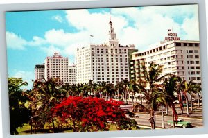 Miami, FL-Florida, Biscayne Boulevard, Hotel Biscayne, Chrome Postcard