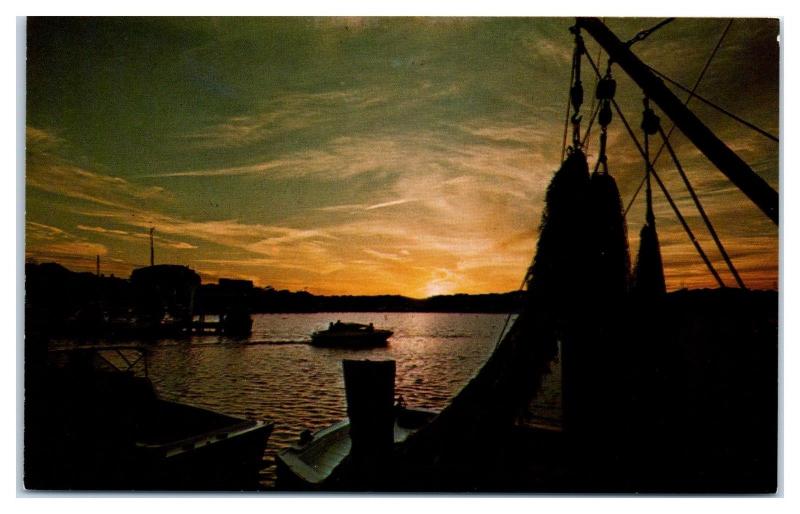 1960s Sunset Oak Bluffs Harbor, Martha's Vineyard, MA Postcard