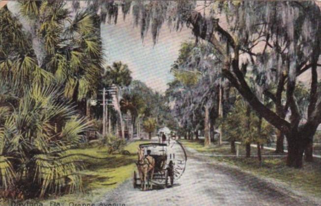 Horse and Carriage On Orange Avenue Daytona Florida 1908