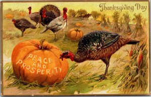 Postcard Thanksgiving Tuck 161 Turkeys Peace and Prosperity Pumpkin