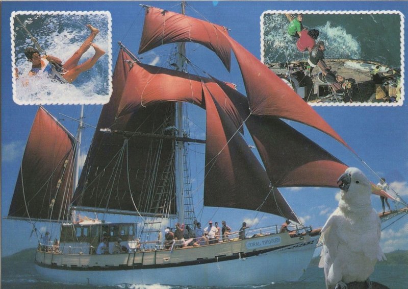 Whitsunday Islands Australia Safari & Sailing Trips Tours Postcard