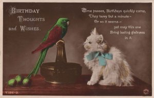 Kitten & Budgie Greetings Bird & Cat Comic Real Photo Postcard