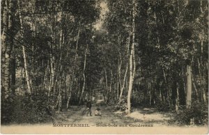 CPA MONTFERMEIL --sous-BOIS aux Coudreaux (124119)