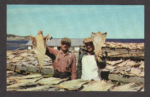 Fishing Fish CLORIDORME GASPE QUEBEC CANADA Postcard Carte Postale