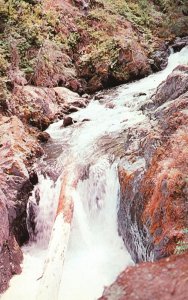 Vintage Postcard Boulder Creek Falls Olympic Hot Springs Port Angeles Washington