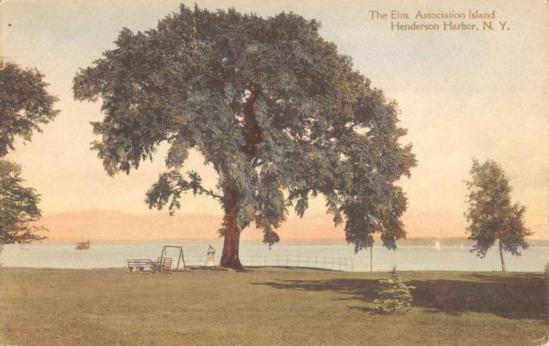 Henderson Harbor New York Association Island The Elm Antique Postcard K96975