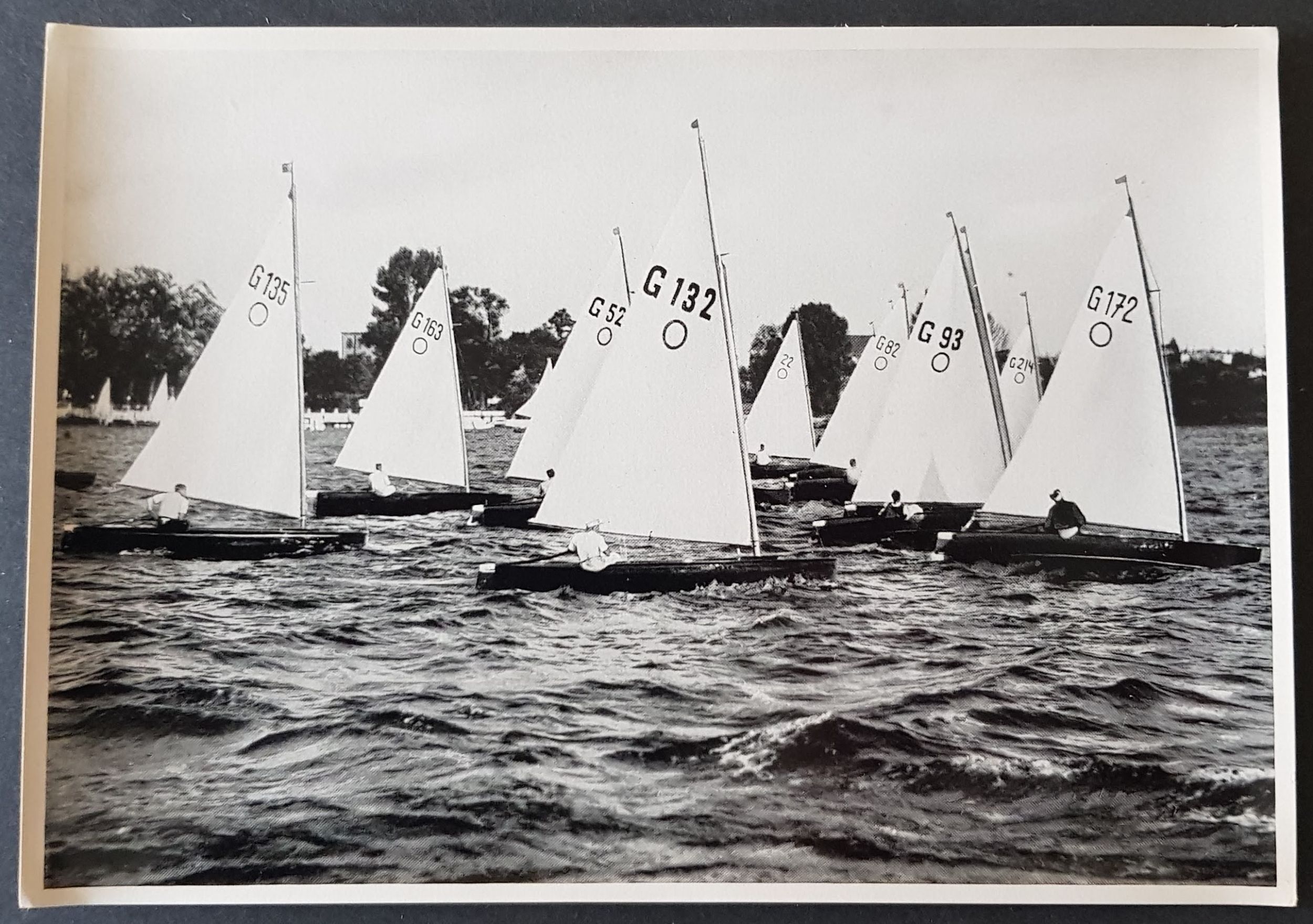 Rare Large Format Collector Photo Card 1936 Berlin Olympics Sailing