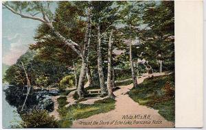 Around the Shore of Echo Lake - White Mountains - Franconia Notch, New Hampshire