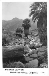 Palm Springs California 1940s RPPC Real Photo Postcard Murray Canyon