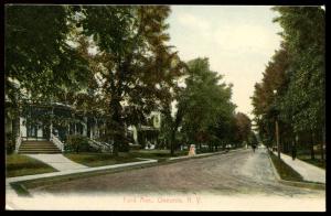 Ford Ave., Oneonta, NY. 1908 German made card.