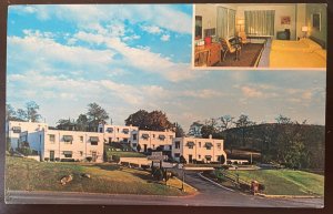 Vintage Postcard 1950's Skyline Motor Hotel, Front Royal, Virginia (VA)