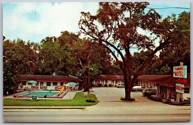 Vtg Ocala Florida FL Flamingo Motel Swimming Pool Old Cars 1960s View Postcard