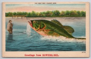 Bowers DE Delaware Exaggerated Fish First One Caught Here Fisherman Postcard C34